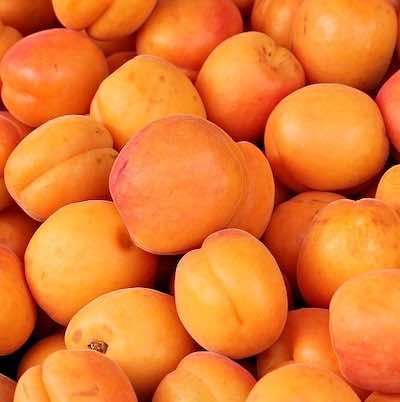 TruBiol Plant Antifreeze Apricot Harvest 35%